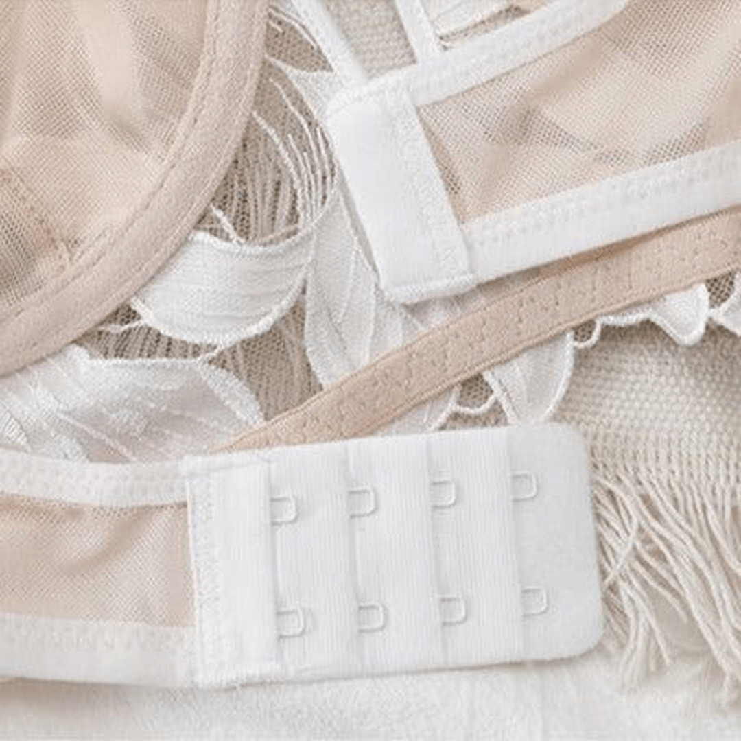 Darcy - Lace Embroidery Deep V Bra And Panty Set