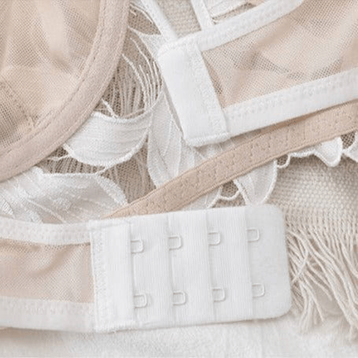 Darcy - Lace Embroidery Deep V Bra And Panty Set