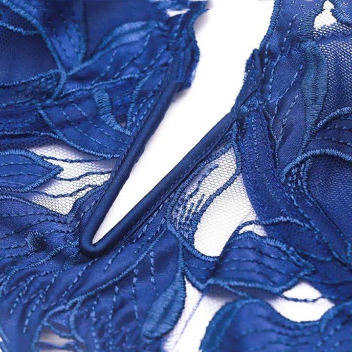 Darcy - Lace Embroidery Deep V Bra And Panty Set